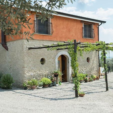 B&B Rifugio Tra Gli Ulivi Campagna Zewnętrze zdjęcie