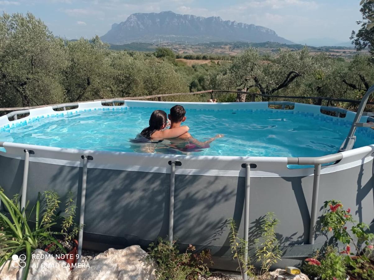 B&B Rifugio Tra Gli Ulivi Campagna Zewnętrze zdjęcie