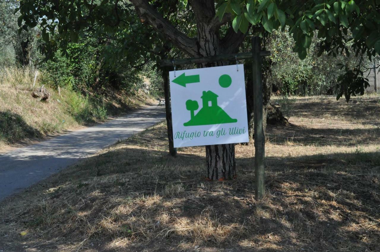 B&B Rifugio Tra Gli Ulivi Campagna Zewnętrze zdjęcie