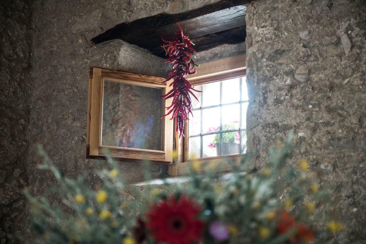 B&B Rifugio Tra Gli Ulivi Campagna Zewnętrze zdjęcie