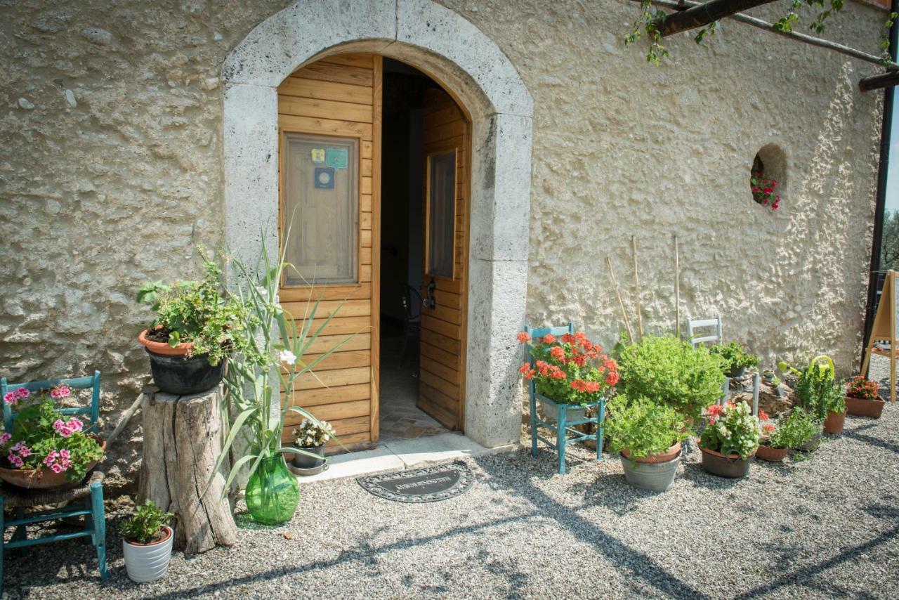 B&B Rifugio Tra Gli Ulivi Campagna Zewnętrze zdjęcie