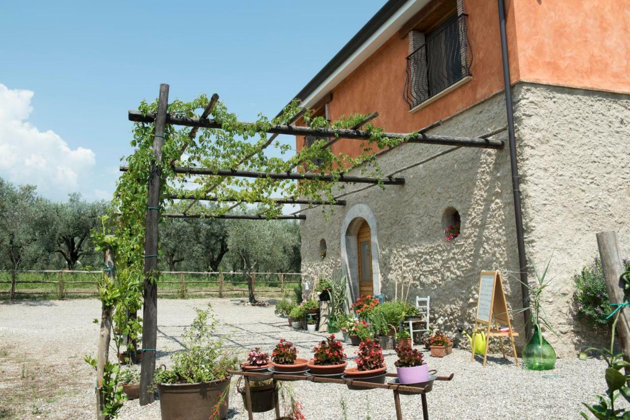 B&B Rifugio Tra Gli Ulivi Campagna Zewnętrze zdjęcie